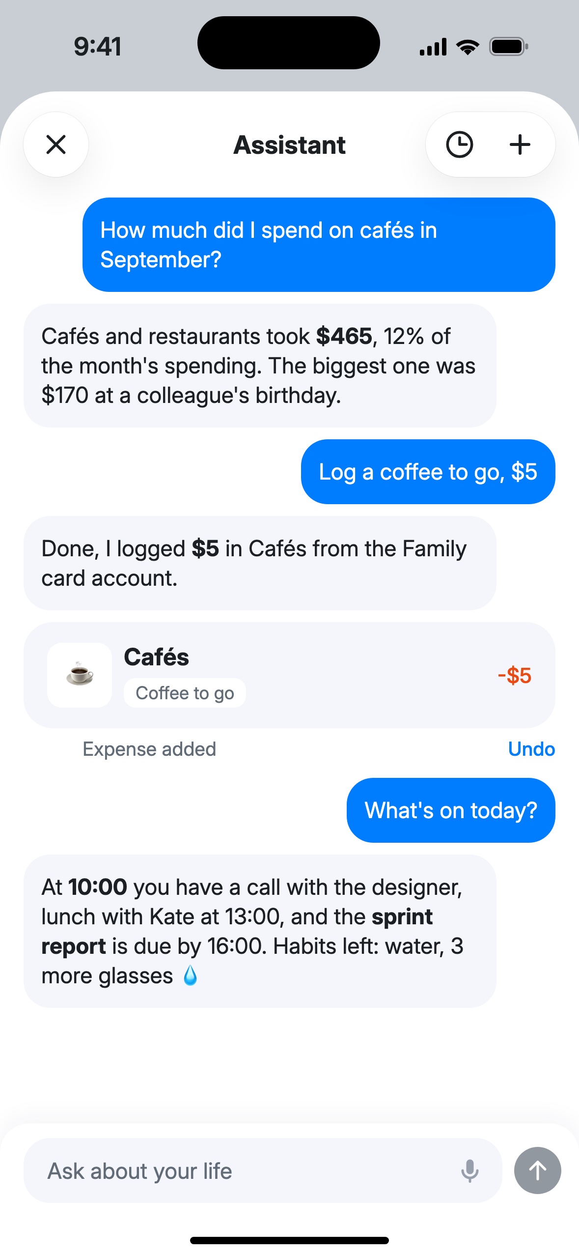 A conversation with the assistant